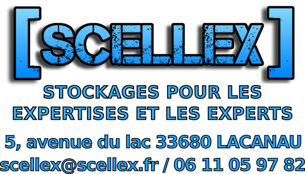 logo scellex